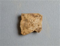 藏品(甲骨殘片)的圖片