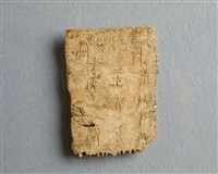 藏品(甲骨殘片)的圖片