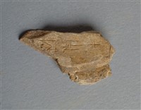 藏品(甲骨殘片)的圖片