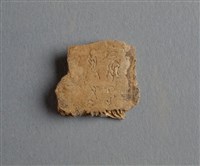 藏品(甲骨殘片)的圖片