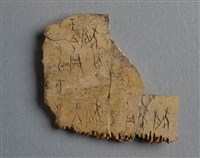 藏品(甲骨殘片)的圖片