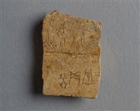 藏品(甲骨殘片)的圖片