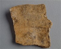 藏品(甲骨殘片)的圖片