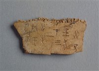 藏品(甲骨殘片)的圖片