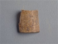 藏品(甲骨殘片)的圖片