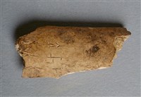 藏品(甲骨殘片)的圖片