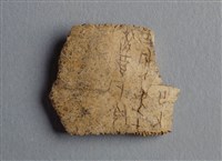 藏品(甲骨殘片)的圖片