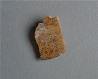 藏品(甲骨殘片)的圖片