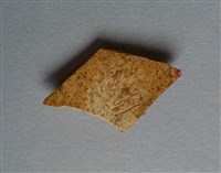 藏品(甲骨殘片)的圖片