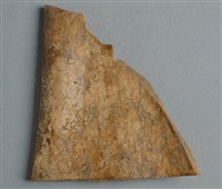 藏品(甲骨殘片)的圖片