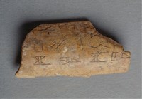 藏品(甲骨殘片)的圖片