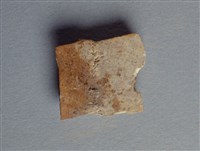 藏品(甲骨殘片)的圖片