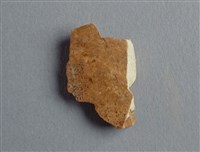 藏品(甲骨殘片)的圖片