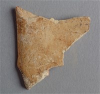 藏品(甲骨殘片)的圖片