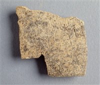藏品(甲骨殘片)的圖片