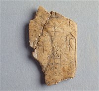 藏品(甲骨殘片)的圖片