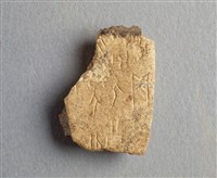 藏品(甲骨殘片)的圖片