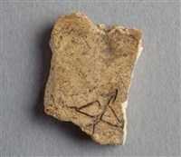 藏品(甲骨殘片)的圖片