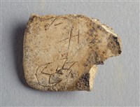 藏品(甲骨殘片)的圖片