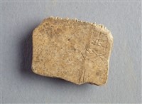 藏品(甲骨殘片)的圖片