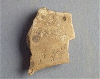 藏品(甲骨殘片)的圖片