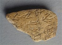 藏品(甲骨殘片)的圖片