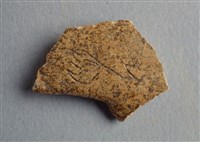 藏品(甲骨殘片)的圖片