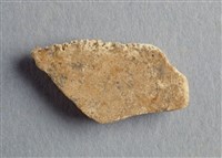 藏品(甲骨殘片)的圖片