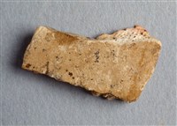 藏品(甲骨殘片)的圖片