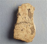 藏品(甲骨殘片)的圖片