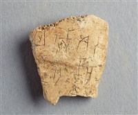 藏品(甲骨殘片)的圖片