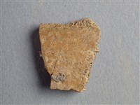 藏品(甲骨殘片)的圖片