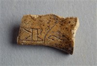 藏品(甲骨殘片)的圖片