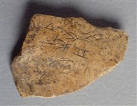 藏品(甲骨殘片)的圖片