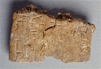 藏品(甲骨殘片)的圖片