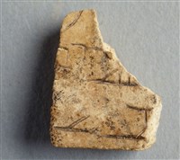 藏品(甲骨殘片)的圖片