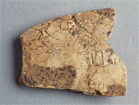 藏品(甲骨殘片)的圖片