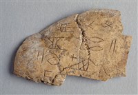 藏品(甲骨殘片)的圖片