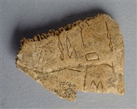 藏品(甲骨殘片)的圖片