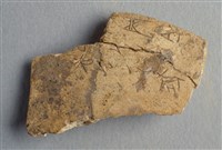 藏品(甲骨殘片)的圖片