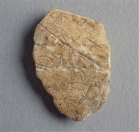 藏品(甲骨殘片)的圖片