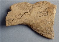 藏品(甲骨殘片)的圖片