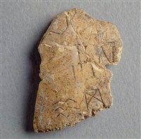 藏品(甲骨殘片)的圖片