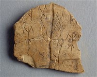 藏品(甲骨殘片)的圖片