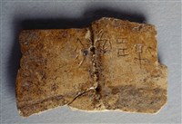 藏品(甲骨殘片)的圖片