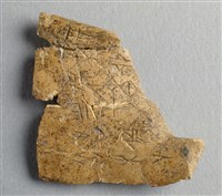 藏品(甲骨殘片)的圖片