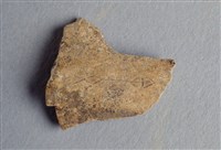 藏品(甲骨殘片)的圖片