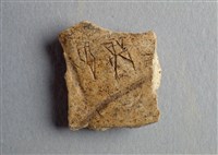 藏品(甲骨殘片)的圖片