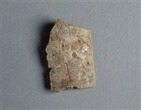 藏品(甲骨殘片)的圖片