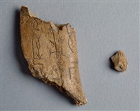 藏品(甲骨殘片)的圖片
